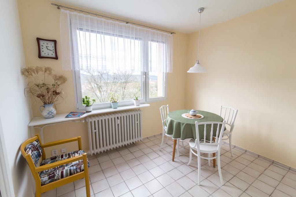 Apartman Labe Usti nad Labem Exterior photo