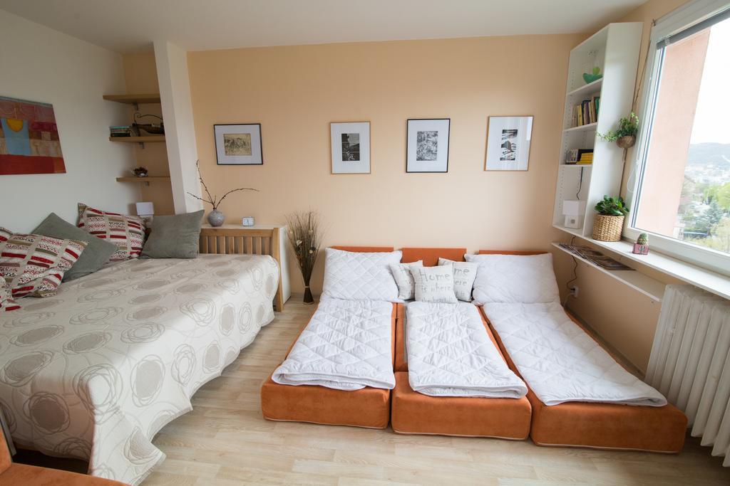 Apartman Labe Usti nad Labem Exterior photo